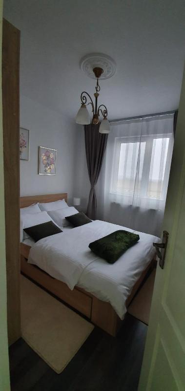 Apartament Apartament Thea Făgăraş Zewnętrze zdjęcie