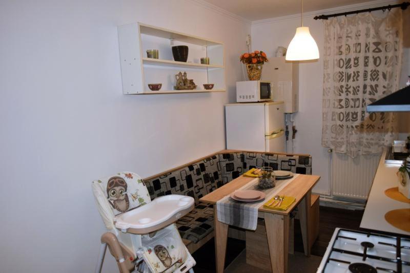 Apartament Apartament Thea Făgăraş Zewnętrze zdjęcie