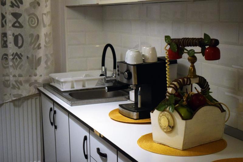 Apartament Apartament Thea Făgăraş Zewnętrze zdjęcie