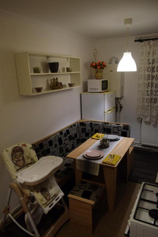 Apartament Apartament Thea Făgăraş Zewnętrze zdjęcie