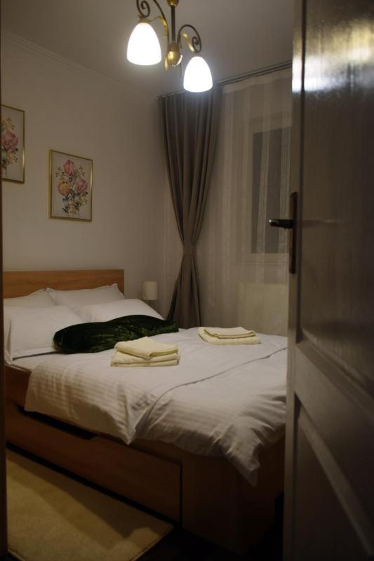 Apartament Apartament Thea Făgăraş Zewnętrze zdjęcie