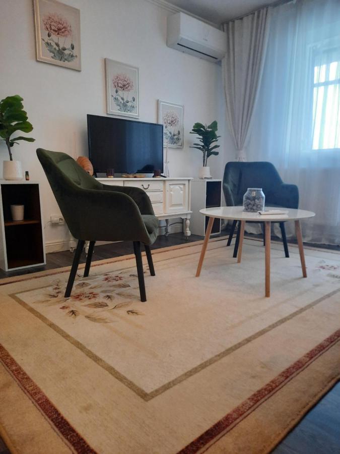Apartament Apartament Thea Făgăraş Zewnętrze zdjęcie